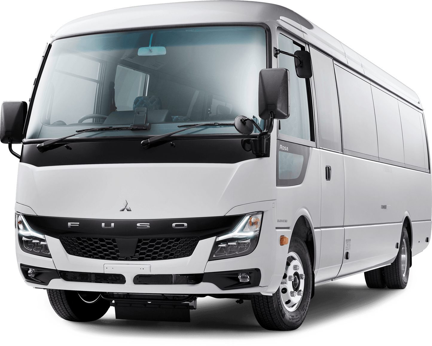 斯里兰卡的色彩(20 天)