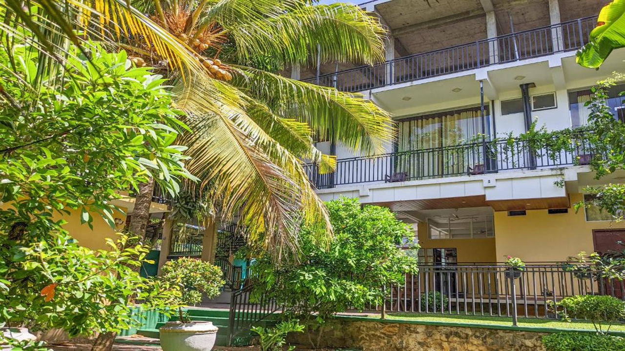 Golden Wild Yala,Tissamaharama