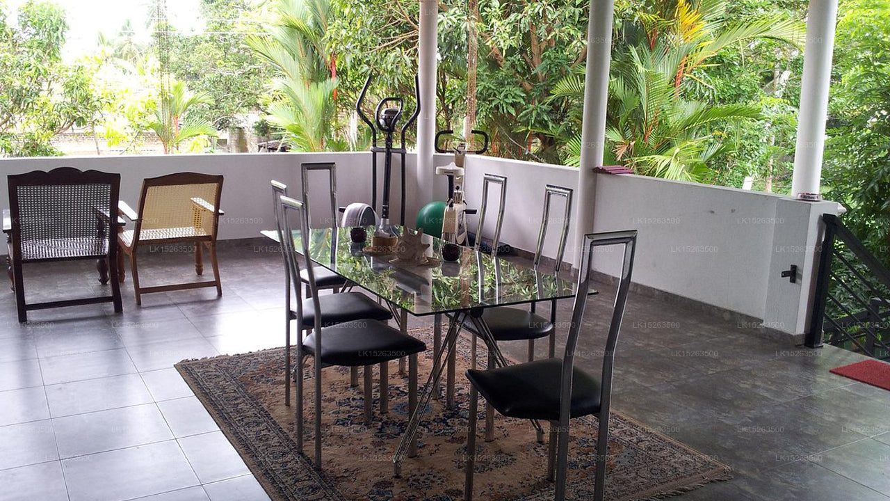 Negombo Village Guest house ,Negombo