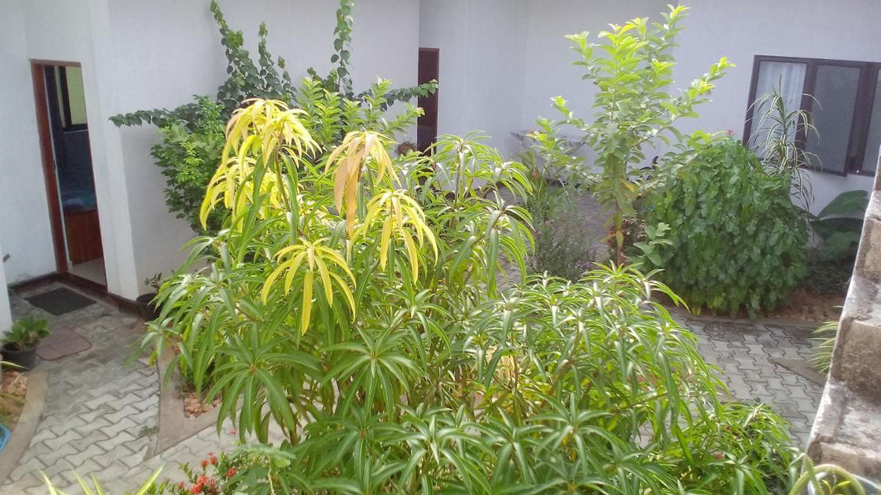 南丁格尔旅馆,库鲁内加勒