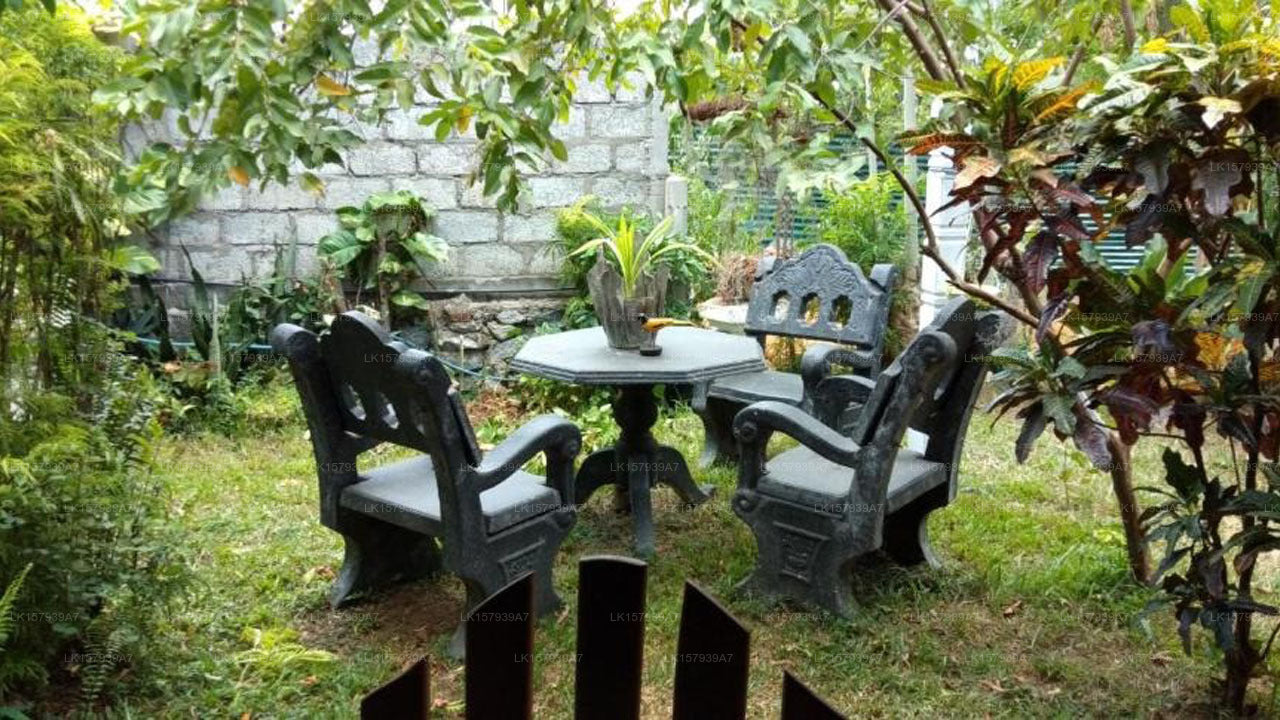 Family Nest, Dambulla