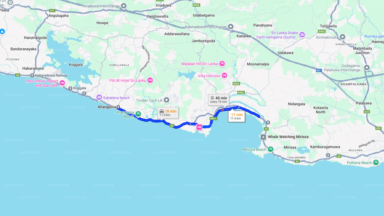 从阿汉加马乘坐共享船观赏鲸鱼