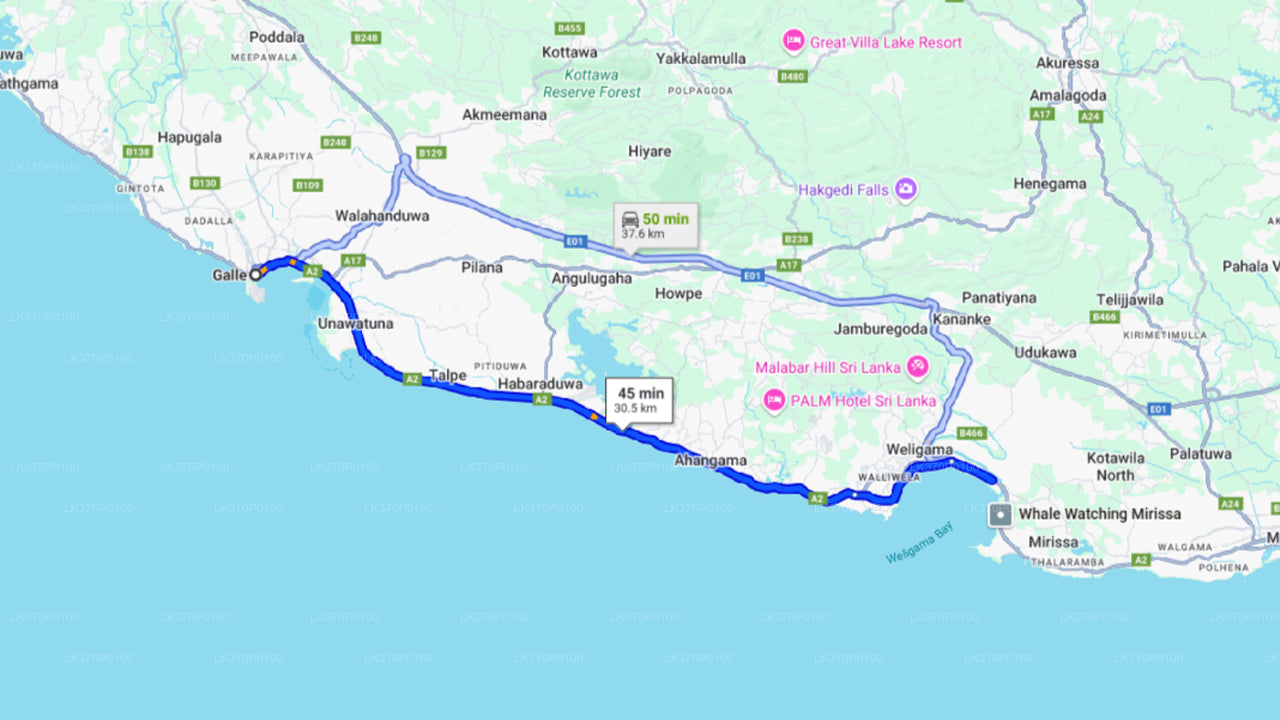 从希里凯蒂亚乘坐共享船观赏鲸鱼