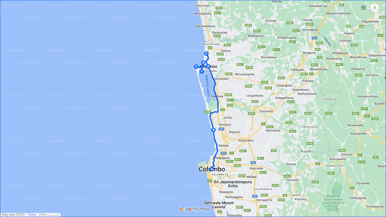 尼甘布市区游(科伦坡出发)