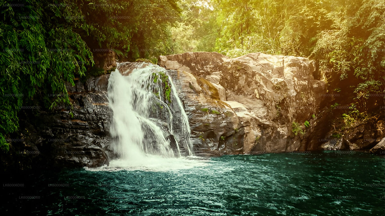 探索辛哈拉贾雨林(半日游)