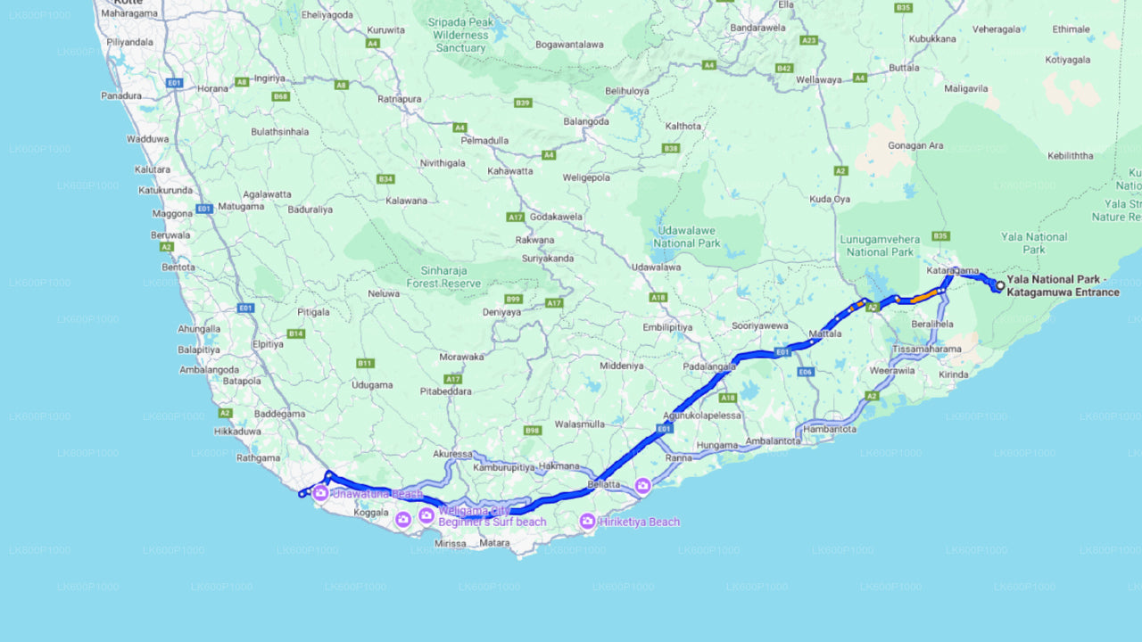 从加勒出发前往亚拉国家公园进行野生动物之旅