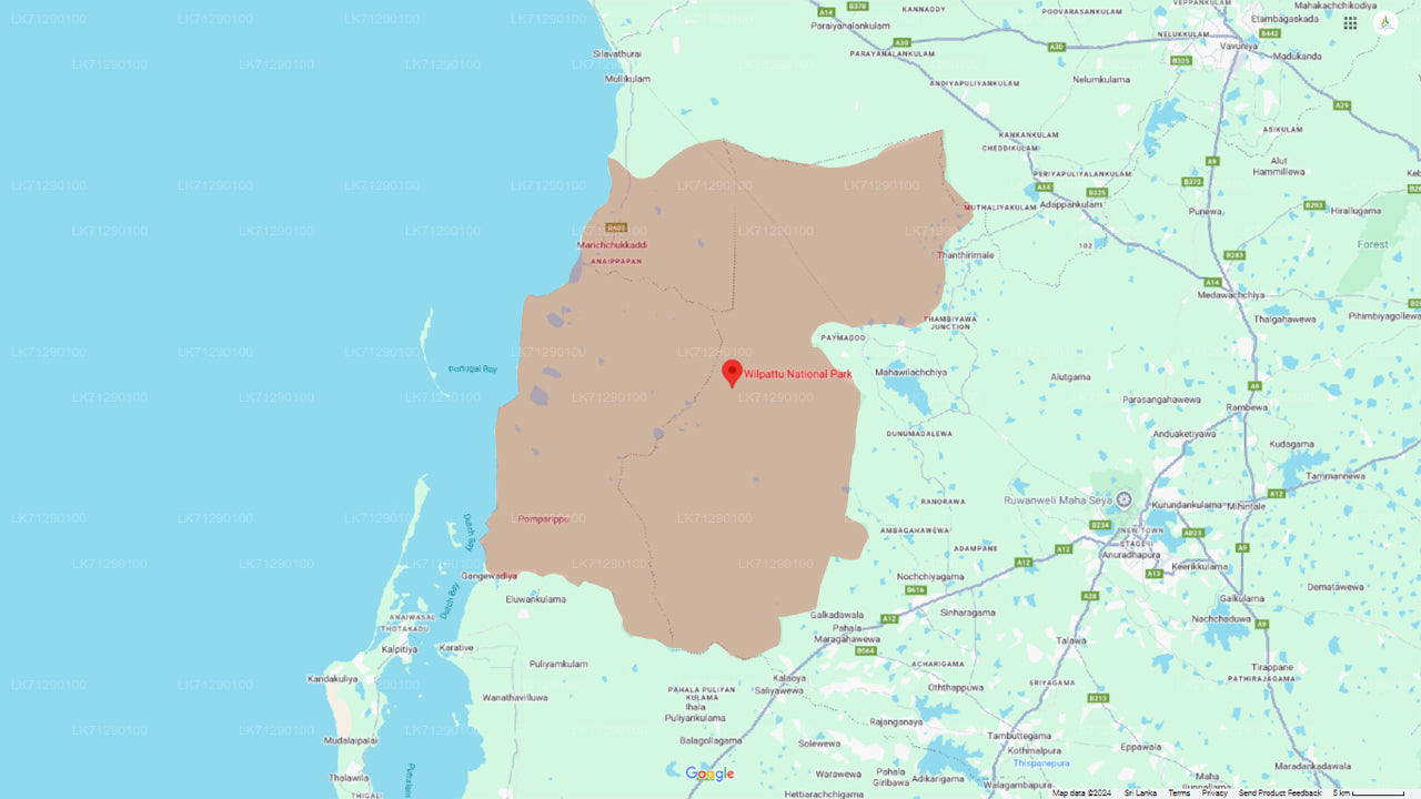 维尔帕图国家公园门票