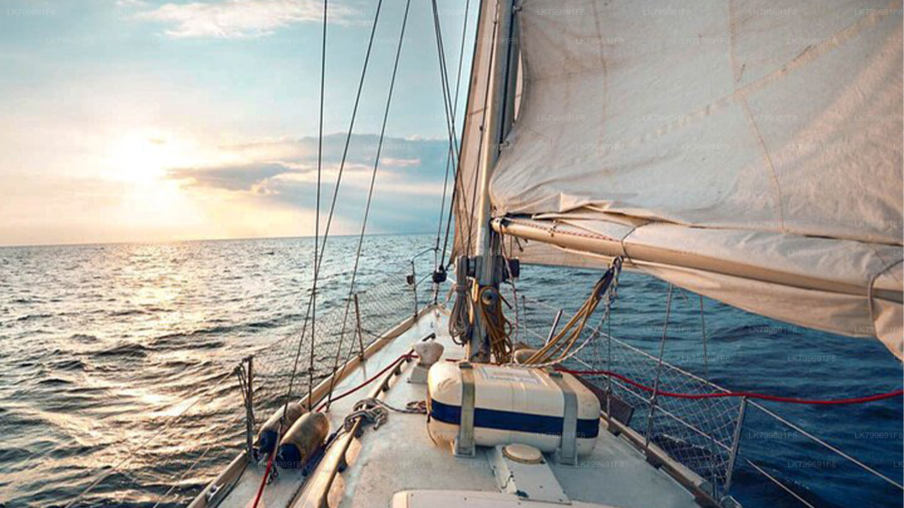 从米丽莎出发的航海度假(3 天)