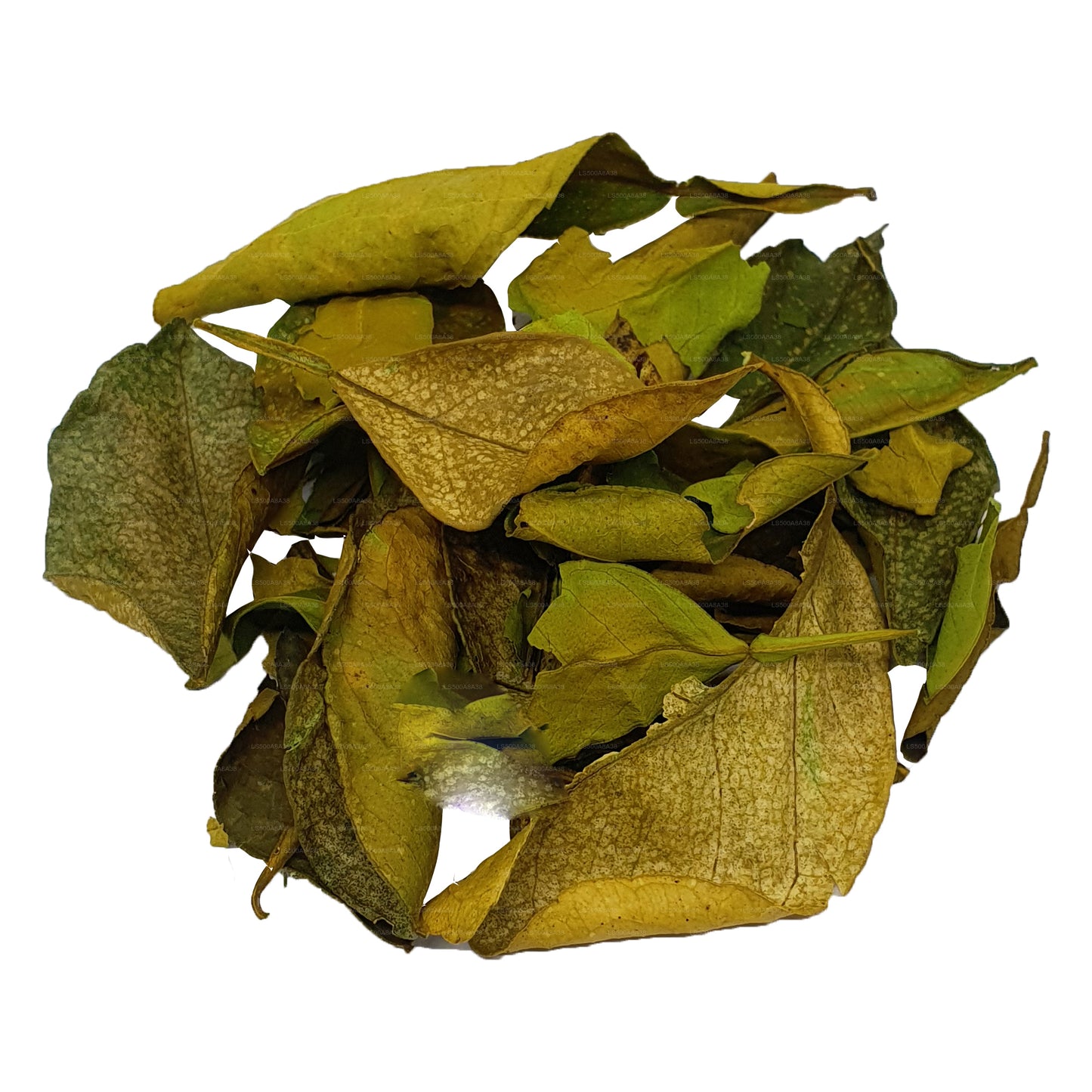 Lakpura 脱水 Yaki Naran(Atalantia Ceylanica)叶子(100 克)