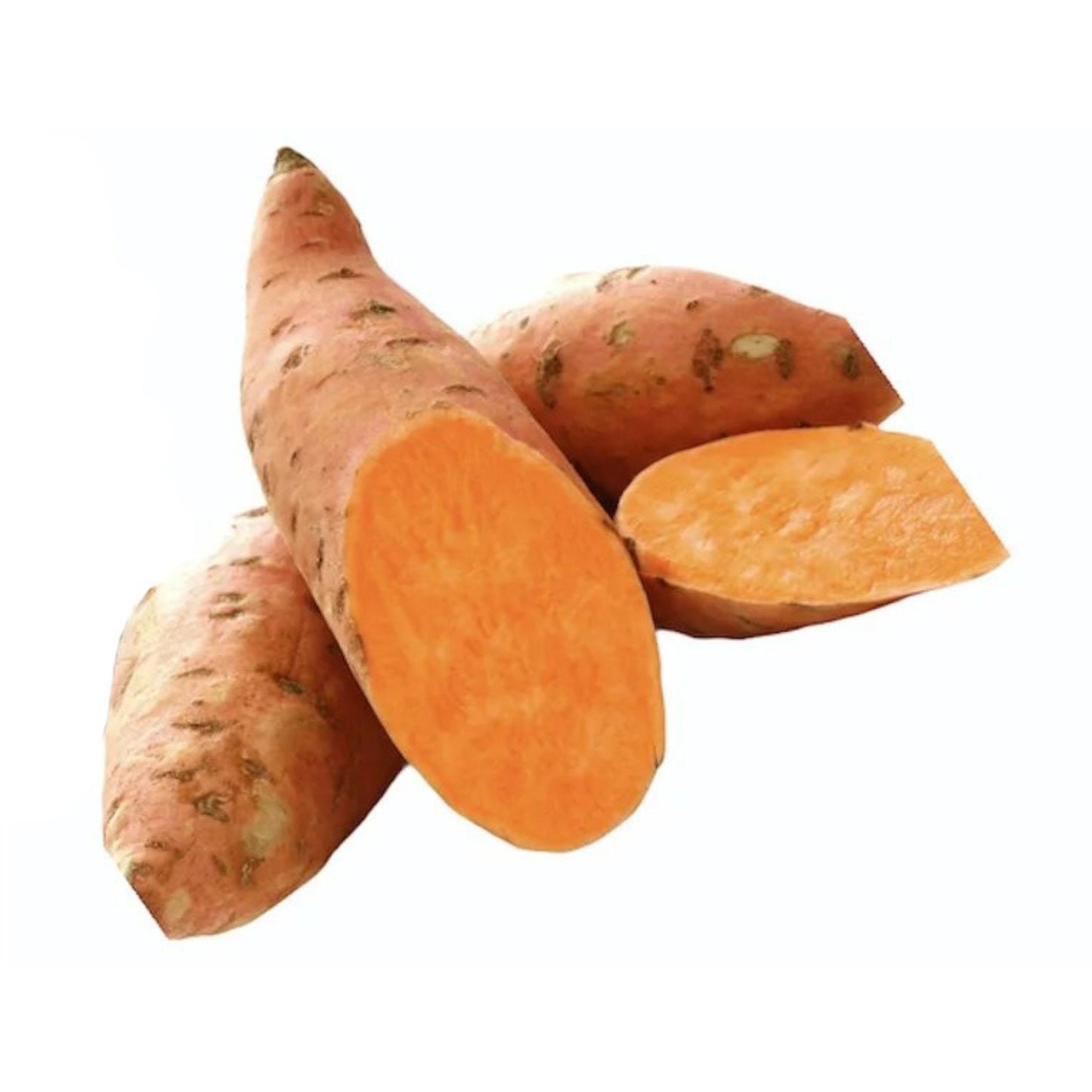 Lakpura Orange Sweet Potato Plant