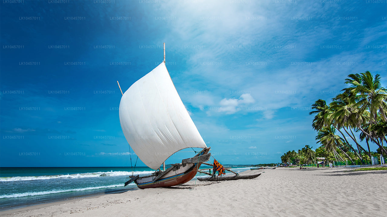 海滩与城市(4 天)