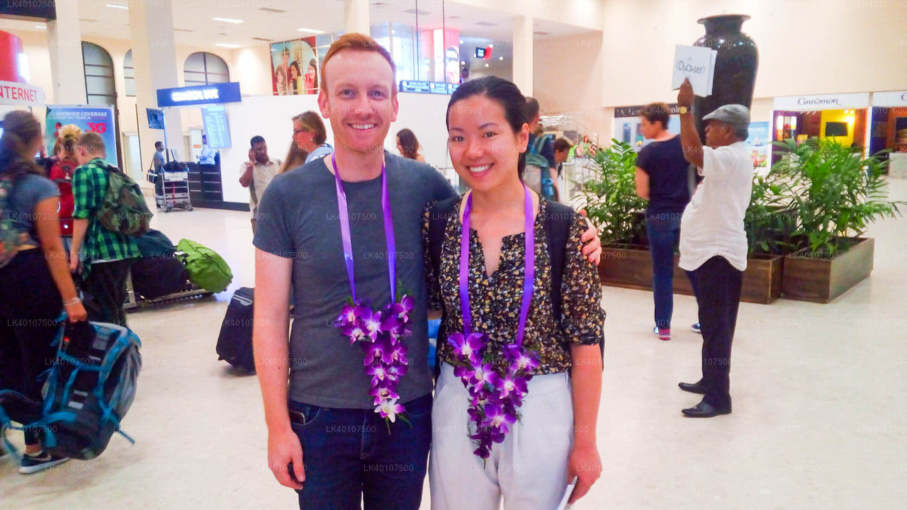 科伦坡机场(CMB)到亭可马里市的私人接送服务