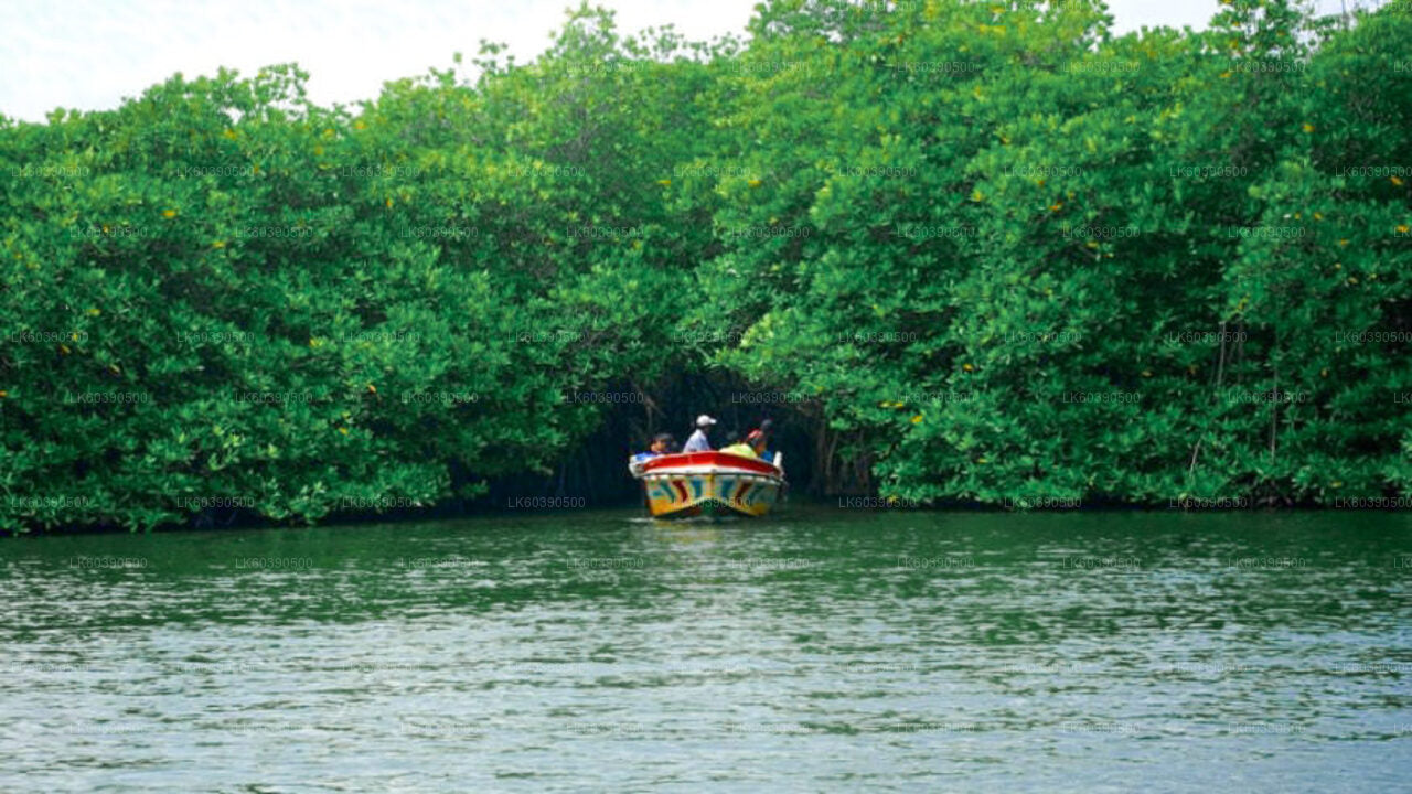 巴拉皮蒂亚出发的南部海岸亮点和河流探险之旅