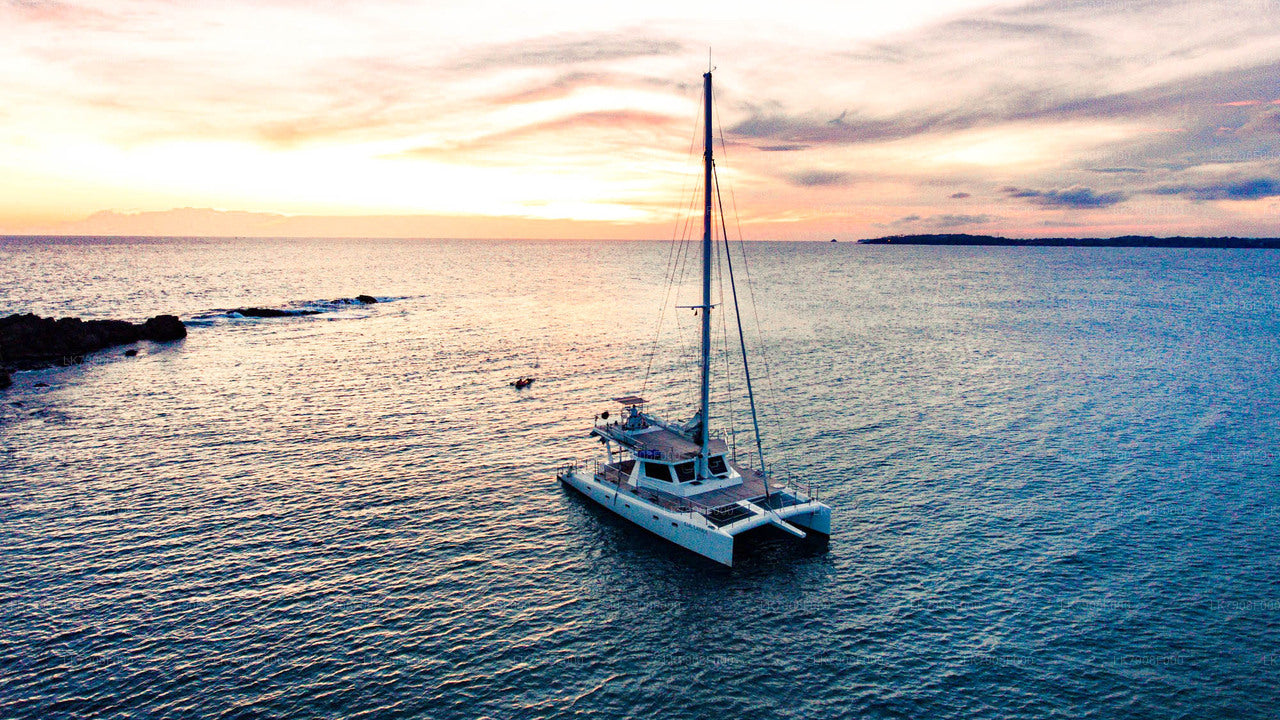 米瑞莎3晚游轮假期