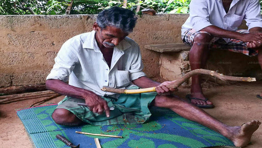 从科伦坡港出发的本托塔城市之旅