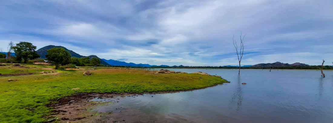 Handappanagala Lake : හඳපානාගල වැව