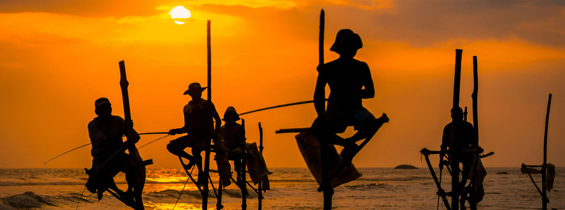 Stilt Fishing