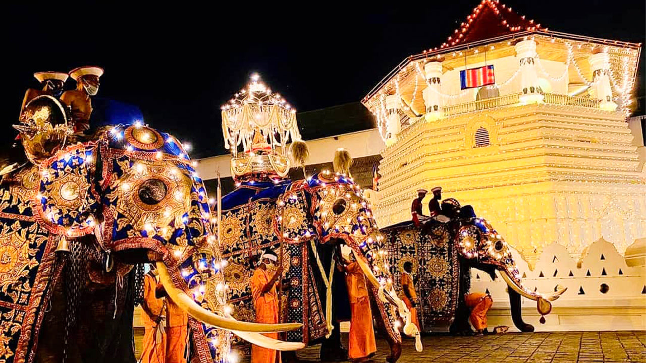 Kandy Esala Perahera — 第 11 天（门票和座位）