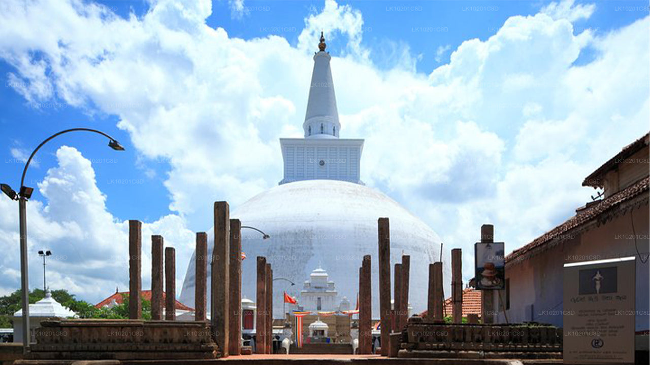 Wilpattu and Anuradhapura from Colombo (2 Days)