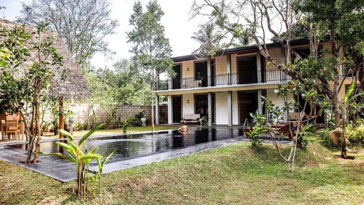 il Frangipane, Sigiriya