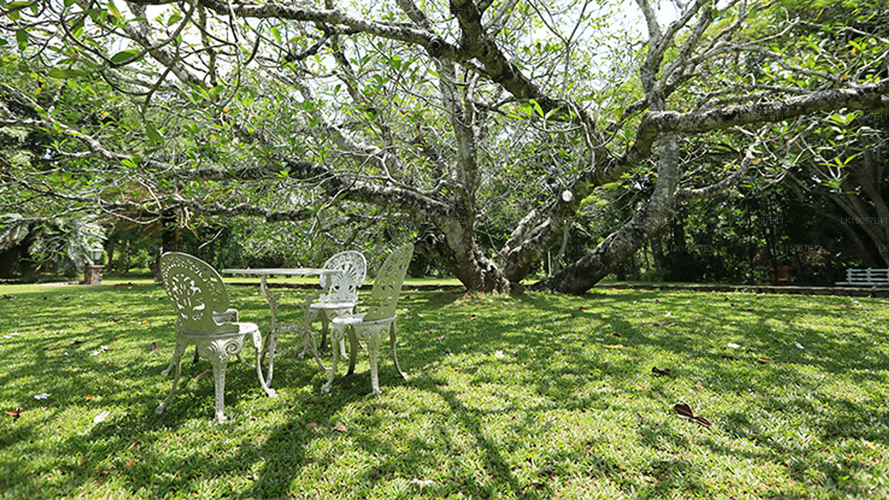 Horathapola Estate，Kurunegala