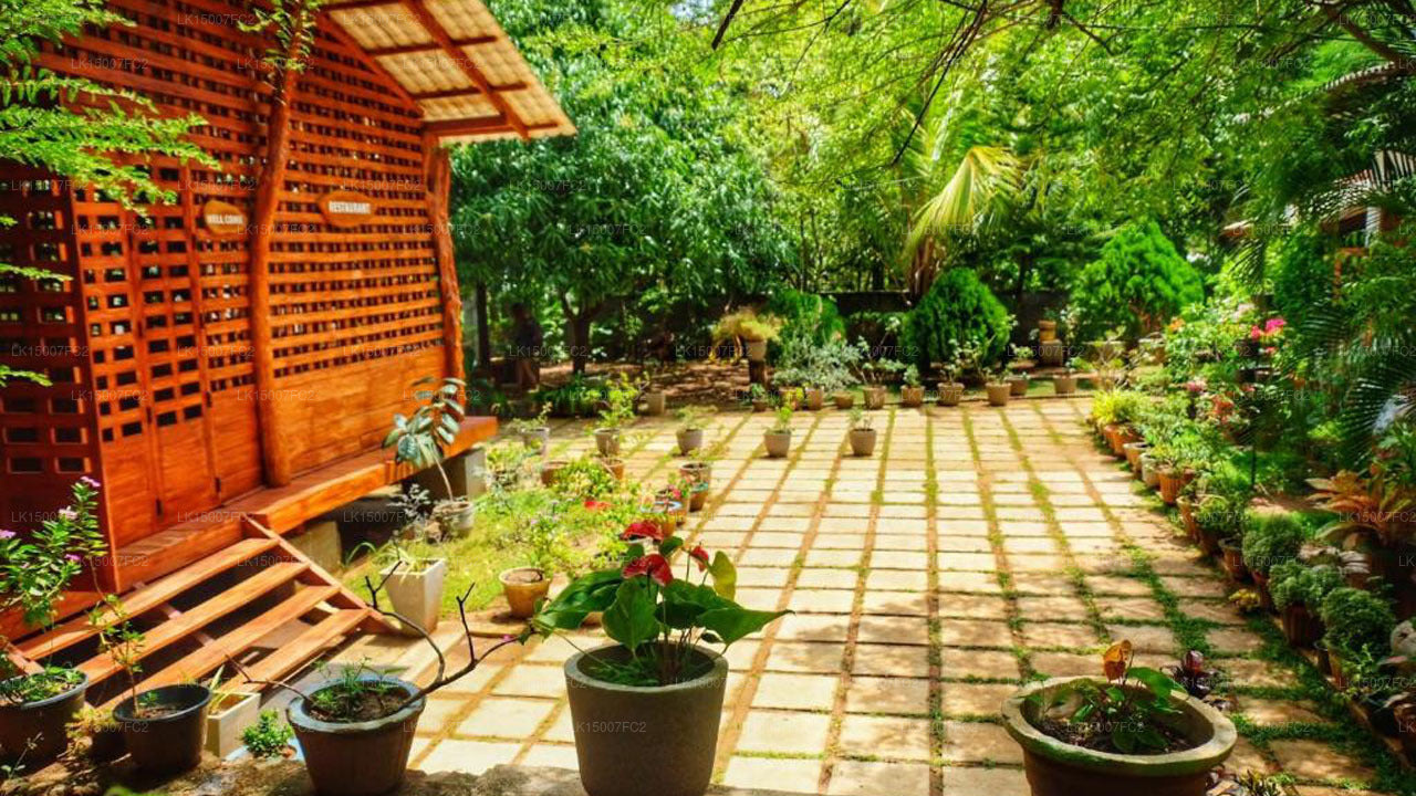 Golden Rainbow Guest House, Dambulla