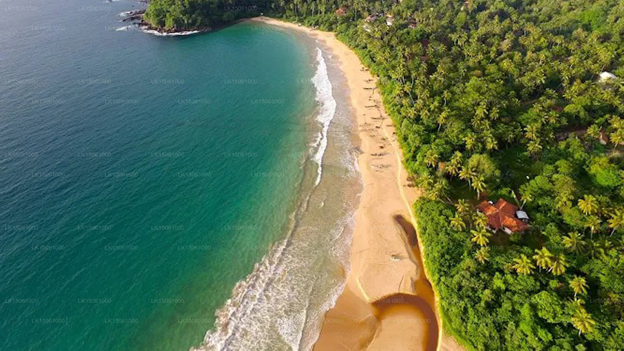 Surya Lanka Ayurveda Beach Resort, Talalla