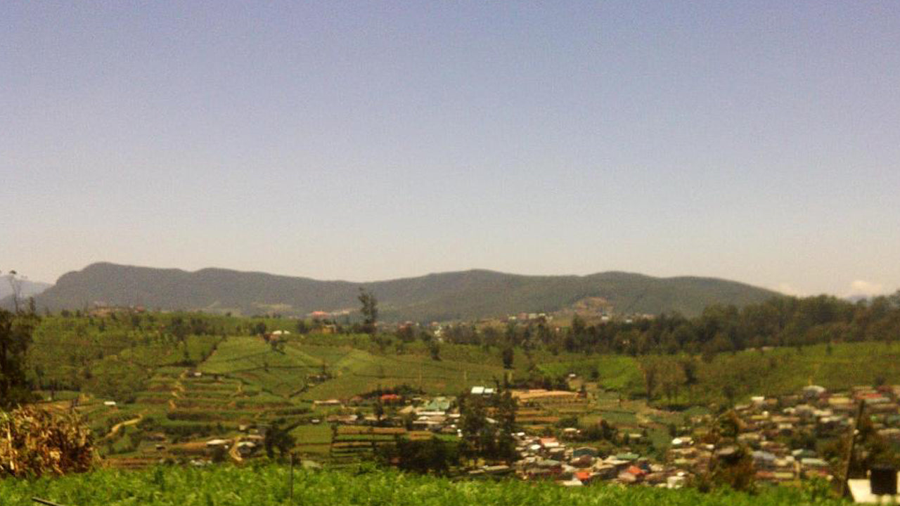 Green Forest, Nuwara Eliya