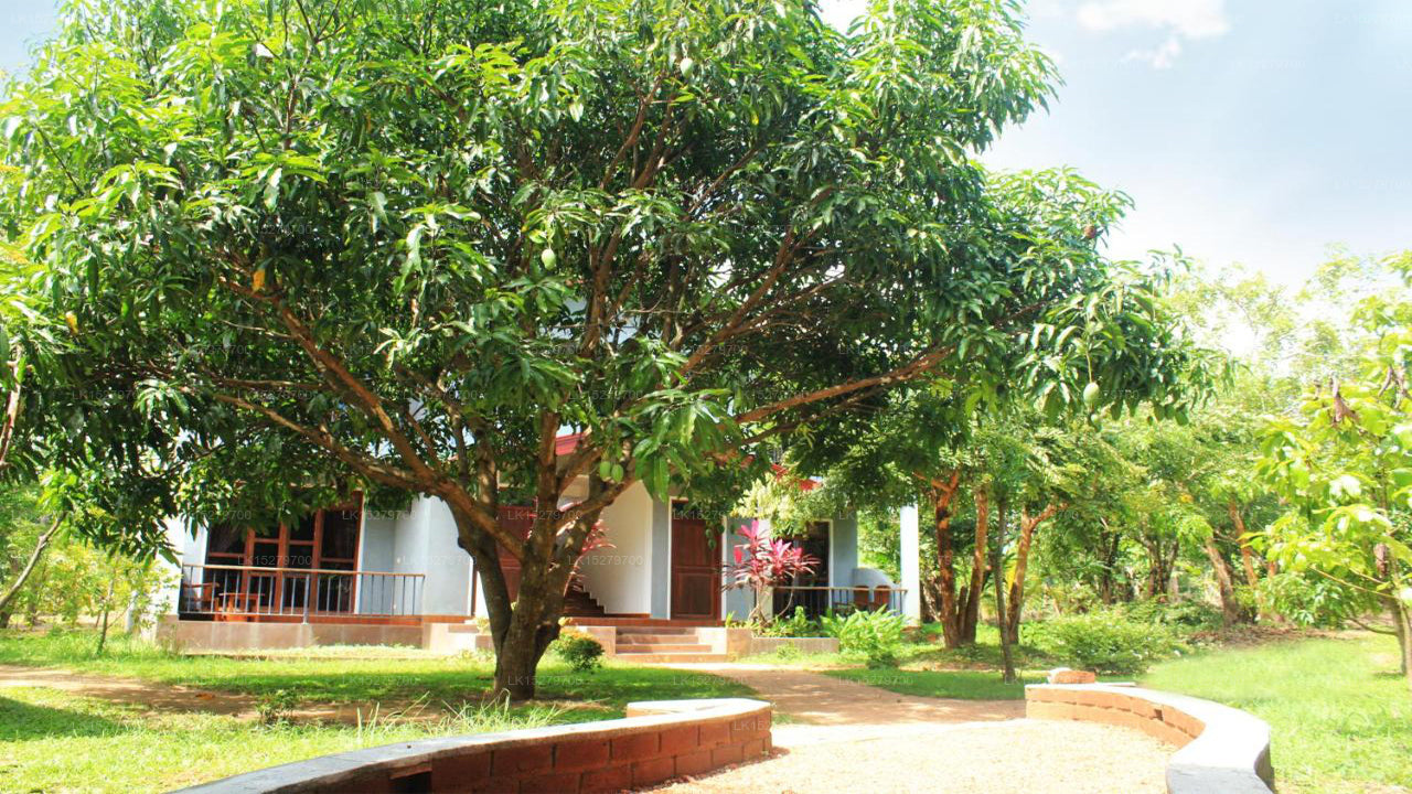 Green Hut Hotel And Restaurant, Sigiriya