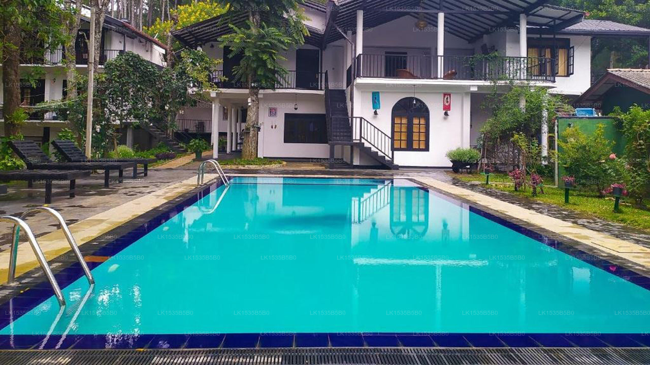 Ella Forest Paradise Hotel