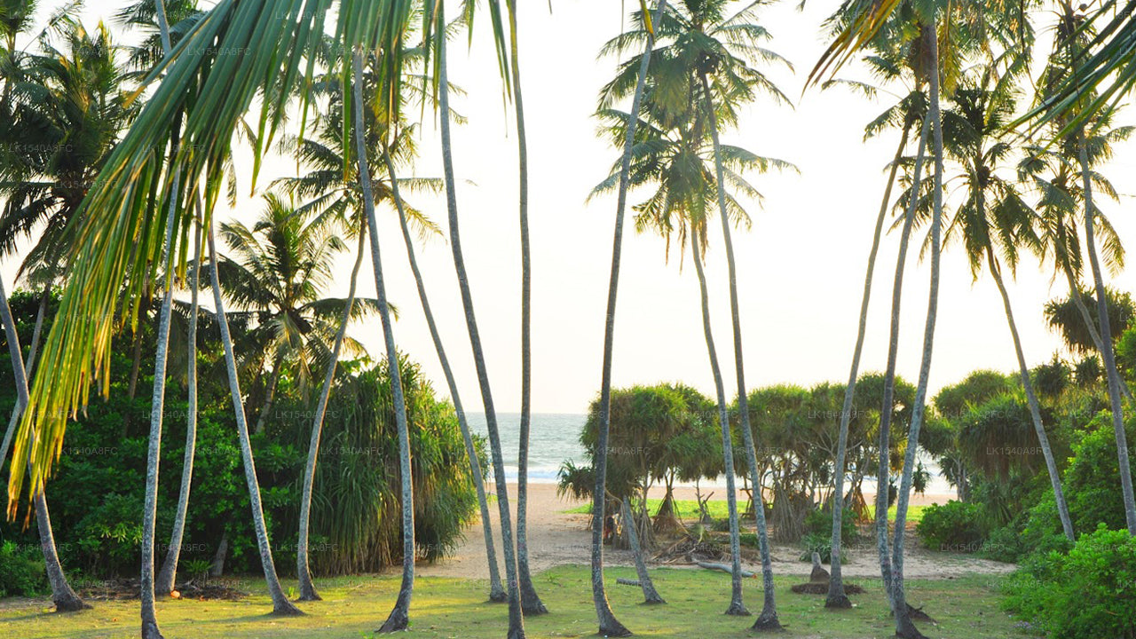 Ocean View, Bentota