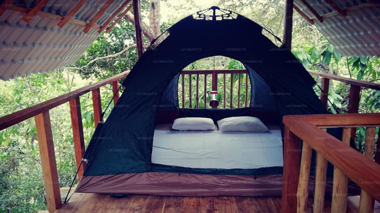 Citron Villa, Habaraduwa