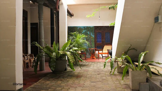 Coco Plant Surf Inn, Midigama