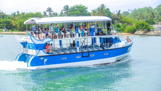 Whale Watching Boat Tour from Trincomalee