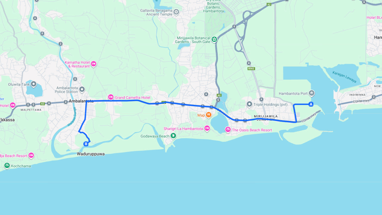 从汉班托塔海港出发，乘坐瓦拉维河游船进行丛林探险之旅