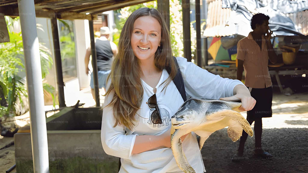 从尼甘布到希里凯蒂亚的私人接送服务（含观光停留）