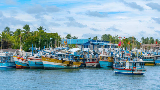 从尼甘布到希里凯蒂亚的私人接送服务（含观光停留）