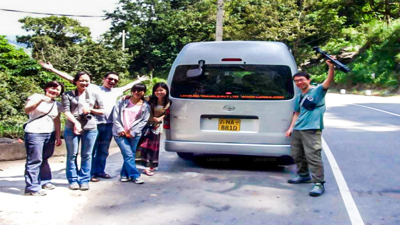 Nuwara Eliya City to Colombo Airport (CMB) Private Transfer