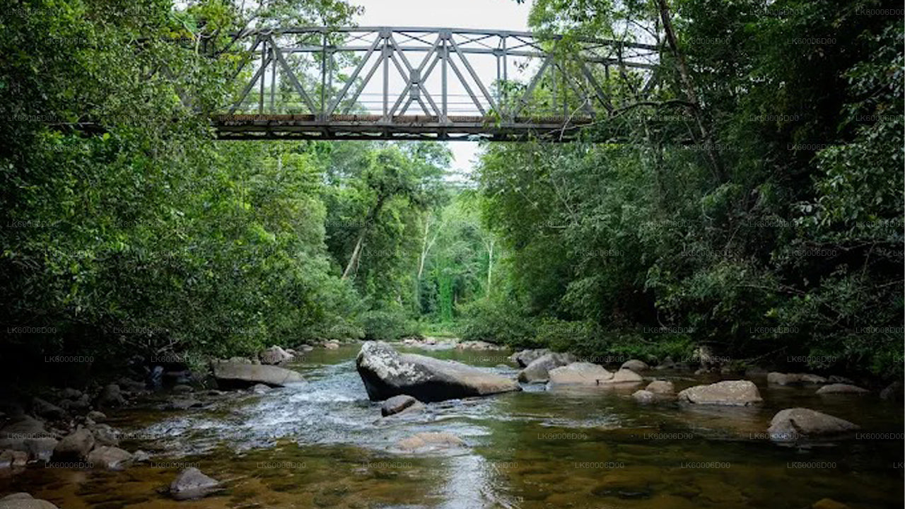 探索辛哈拉贾雨林（半日游）