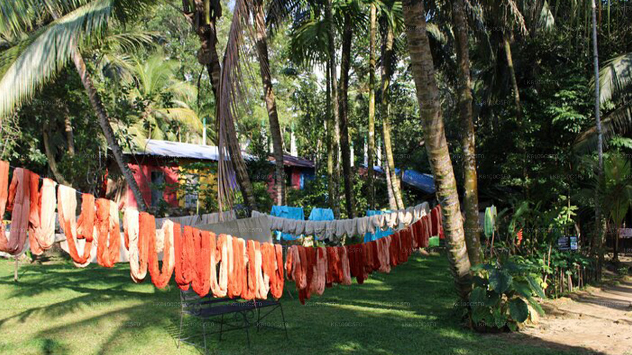 探索加勒的隐藏瑰宝，与当地人共进晚餐