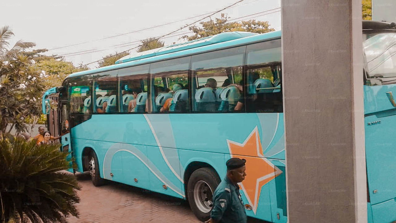 Ella City to Trincomalee City Private Transfer