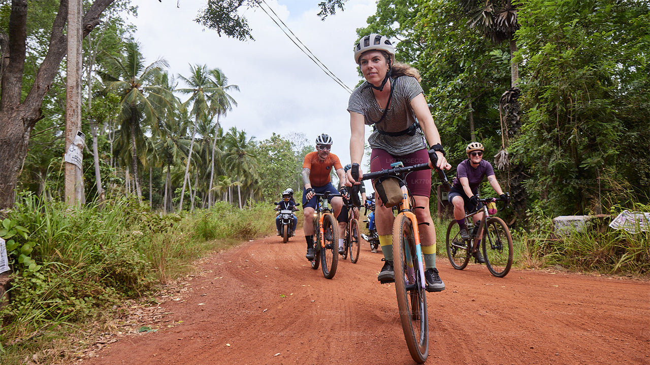 Adventure Mountain Biking from Kandy