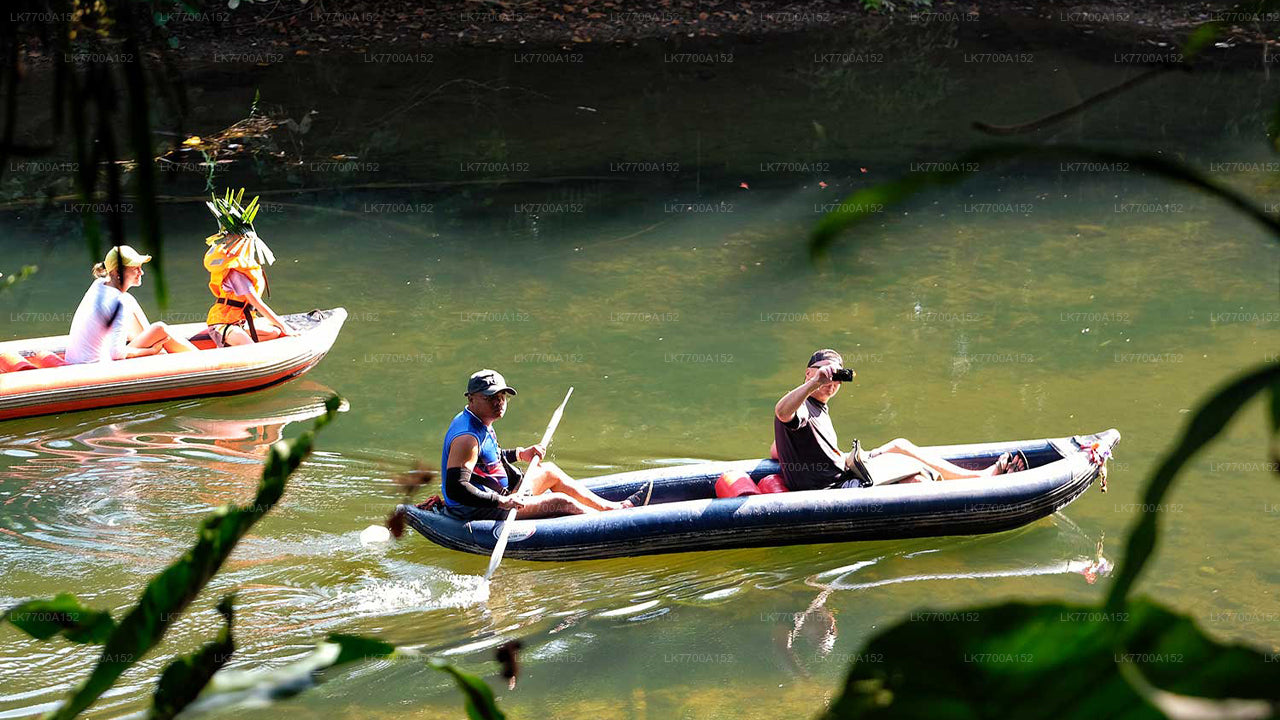 Lagoon Canoeing Tour From Galle