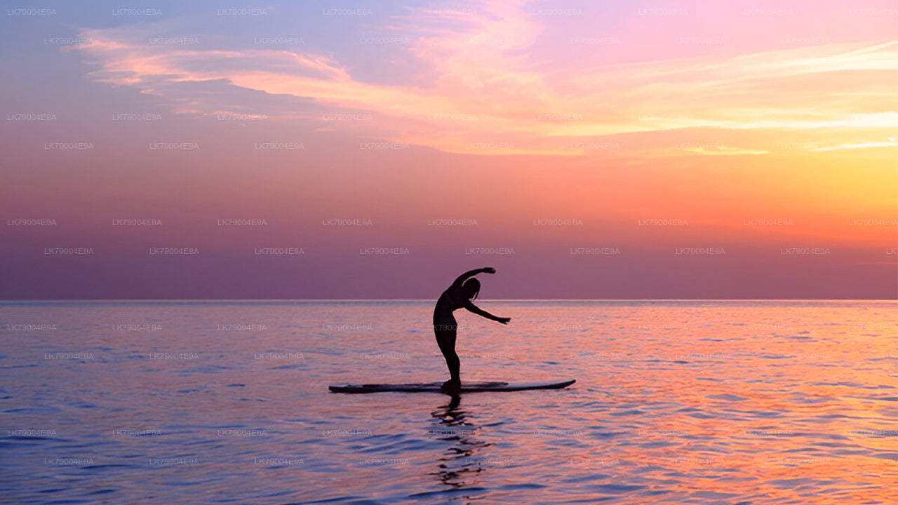 从加勒出发的3小时共享日落巡游