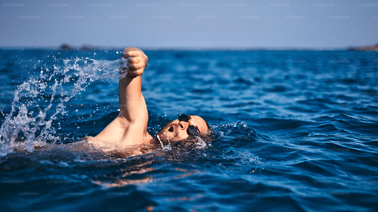 从加勒出发的3小时共享日落巡游