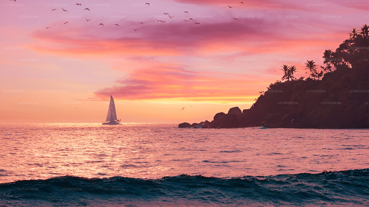 从加勒出发的3小时共享日落巡游