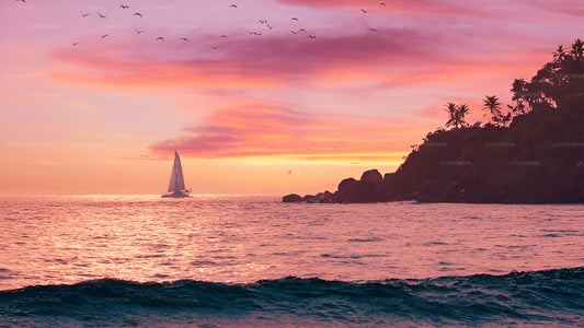 从加勒出发的3小时共享日落巡游