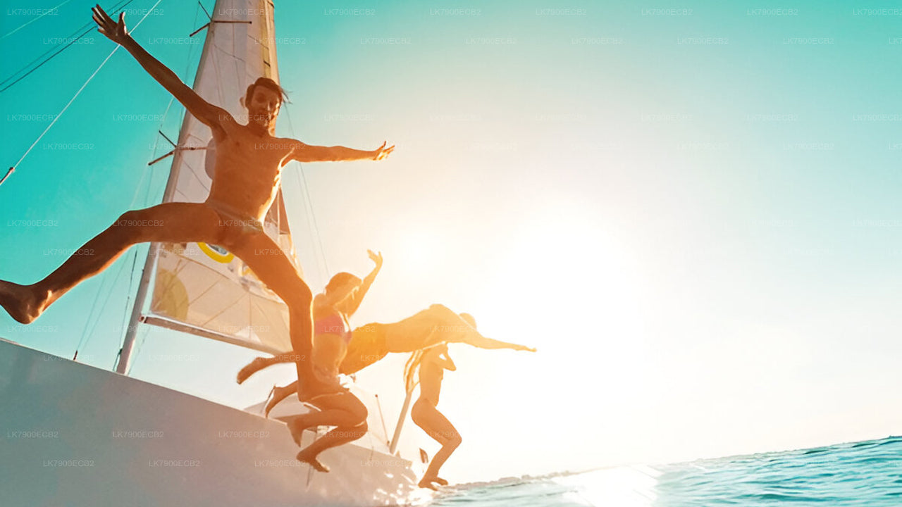 从米瑞莎出发，乘坐 Ocean Diamond 号邮轮，享受 6 晚邮轮之旅