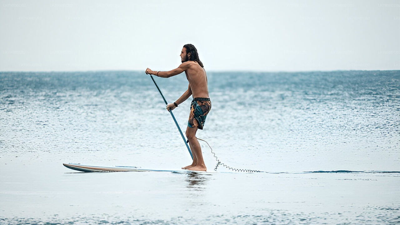 从米瑞莎出发，乘坐 Ocean Diamond 号邮轮，享受 6 晚邮轮之旅