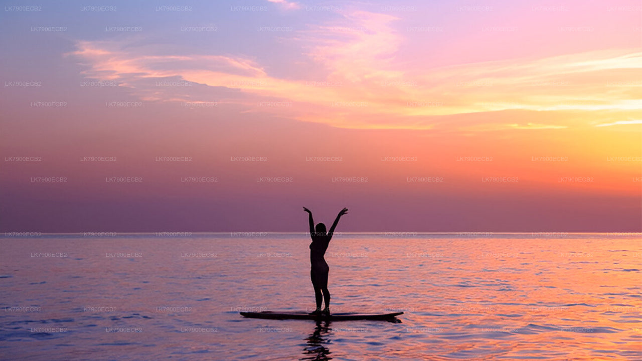从米瑞莎出发，乘坐 Ocean Diamond 号邮轮，享受 6 晚邮轮之旅